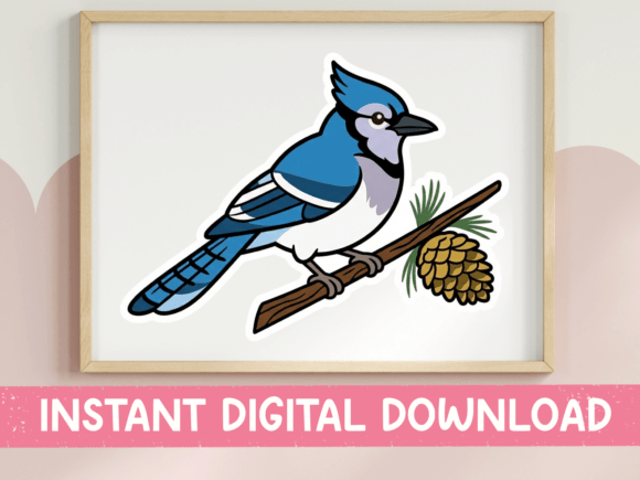 Blue Jay Bird on Pinecone Branch