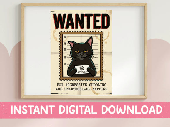 Wanted Cat Aggressive Cuddling Review